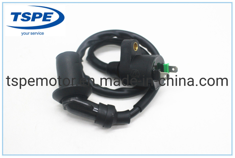 Motorcycle Parts Motorcycle Ignition Coil for RC-150