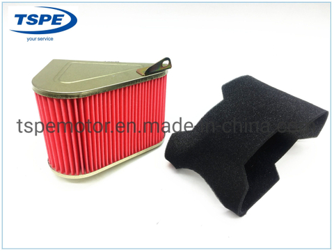 Motorcycle Parts Motorcycle Air Filter for CS-125 Italika