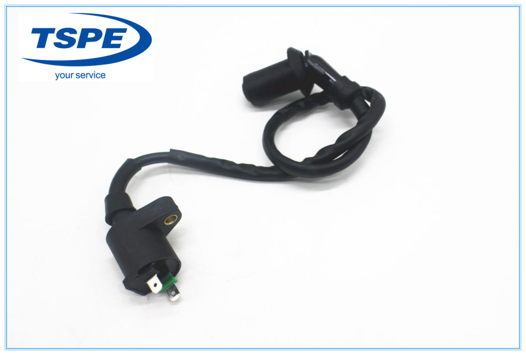 Motorcycle Parts Motorcycle Ignition Coil for CS-125