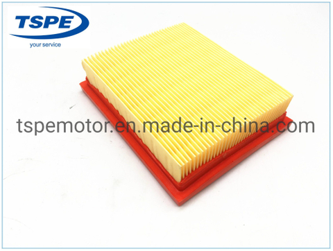 Motorcycle Parts Motorcycle Air Filter for Dm-200 Italika