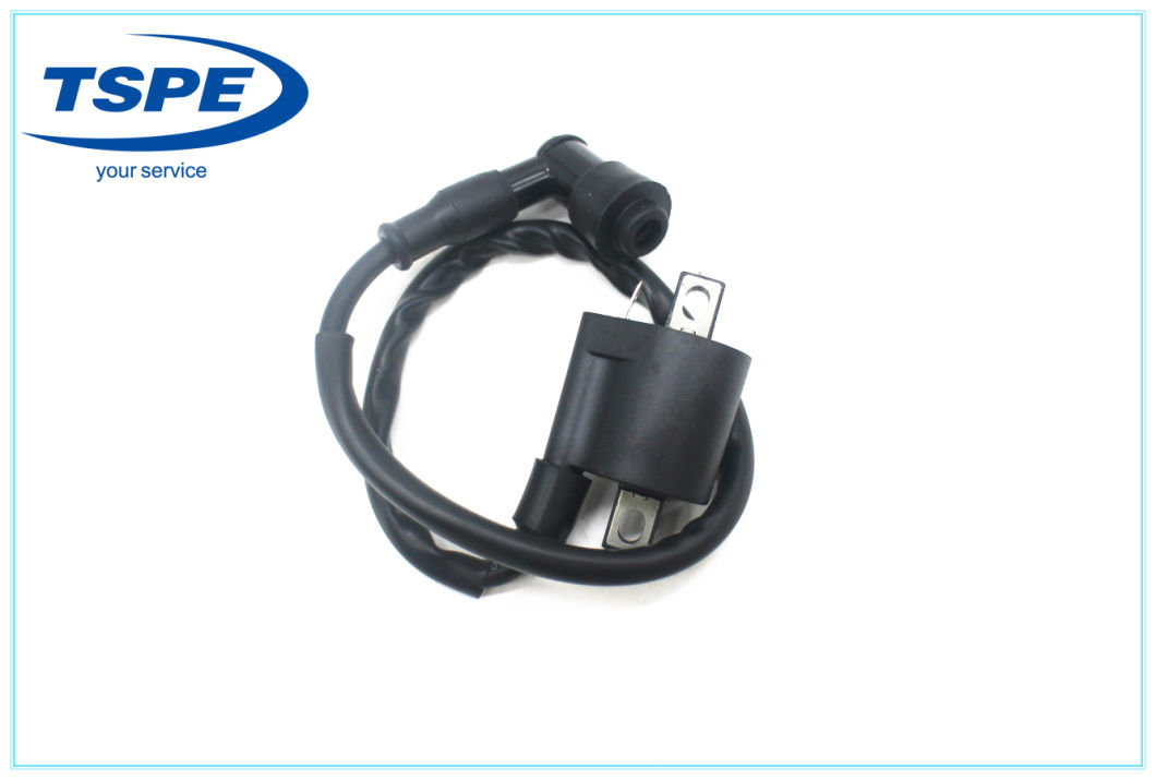 Motorcycle Part Motorcycle Ignition Coil for Dt-150
