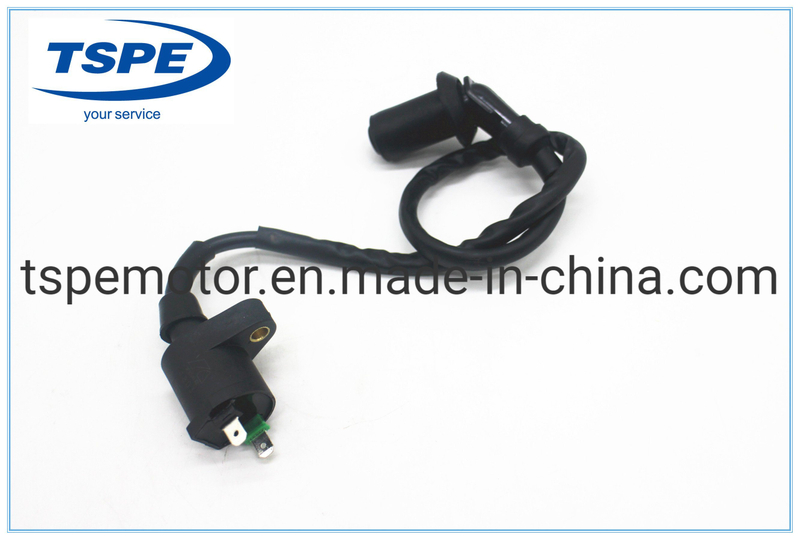Motorcycle Parts Motorcycle Ignition Coil for CS-125