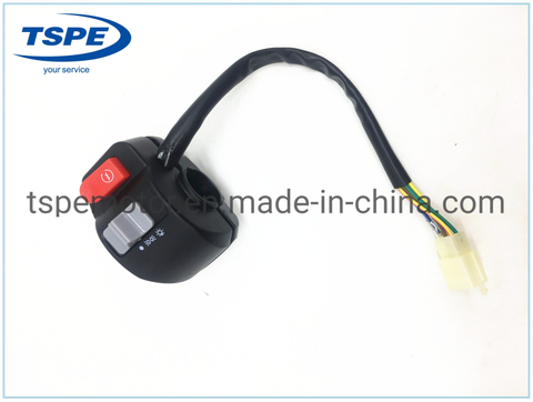 Motorcycle Parts Motorcycle Right Handle Switch for Ws-150 Italika