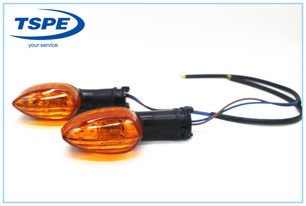 Motorcycle Parts Motorcycle Turning Light YAMAHA Fz16