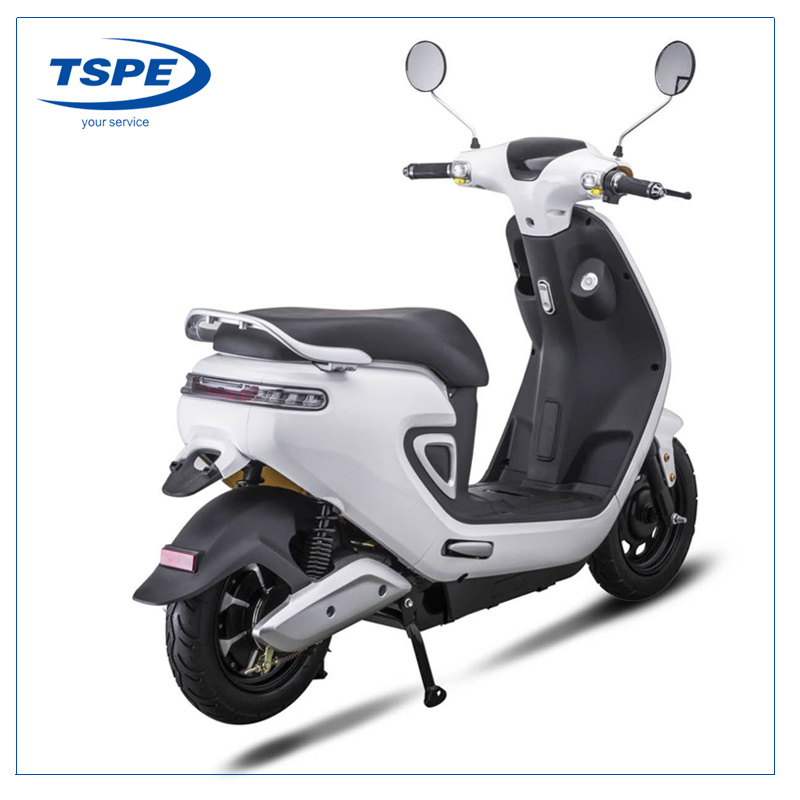 New Style Electric Motorcycle CKD SKD OEM