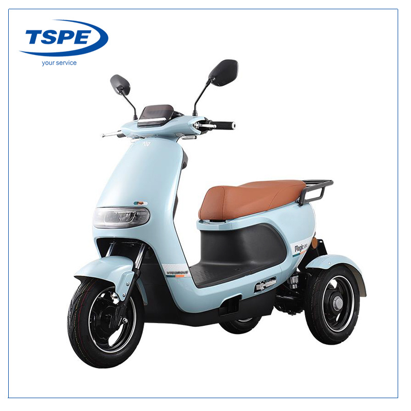 Electric Motorcycle Three Wheel New Model Tricycle