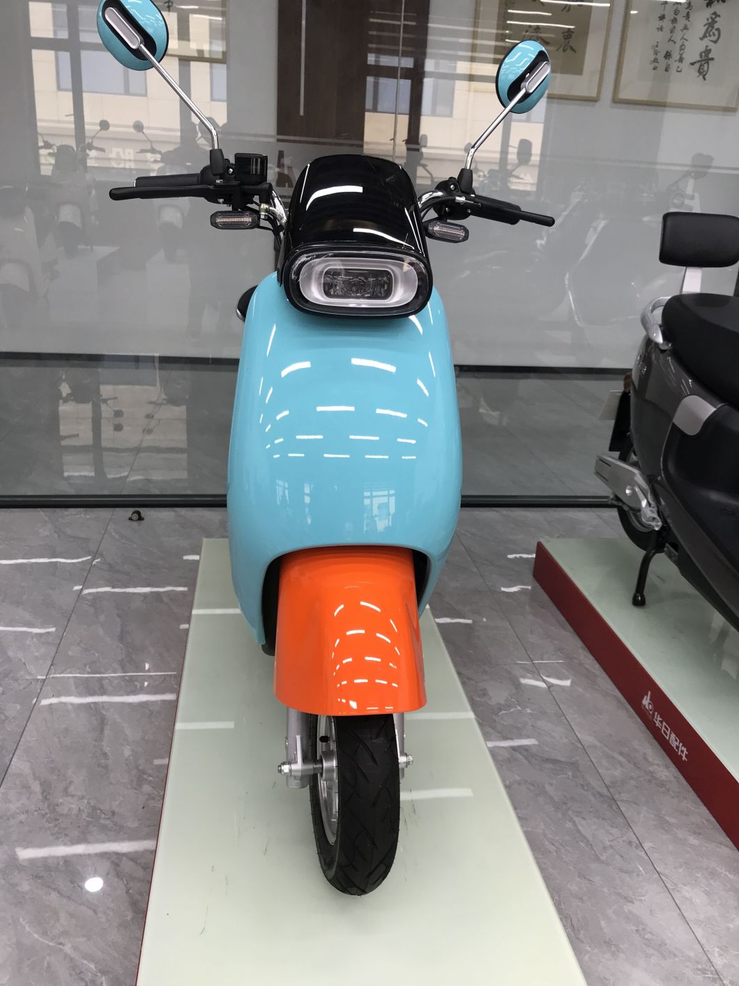 New Student Electric Scooter CKD Electric Motorcycle