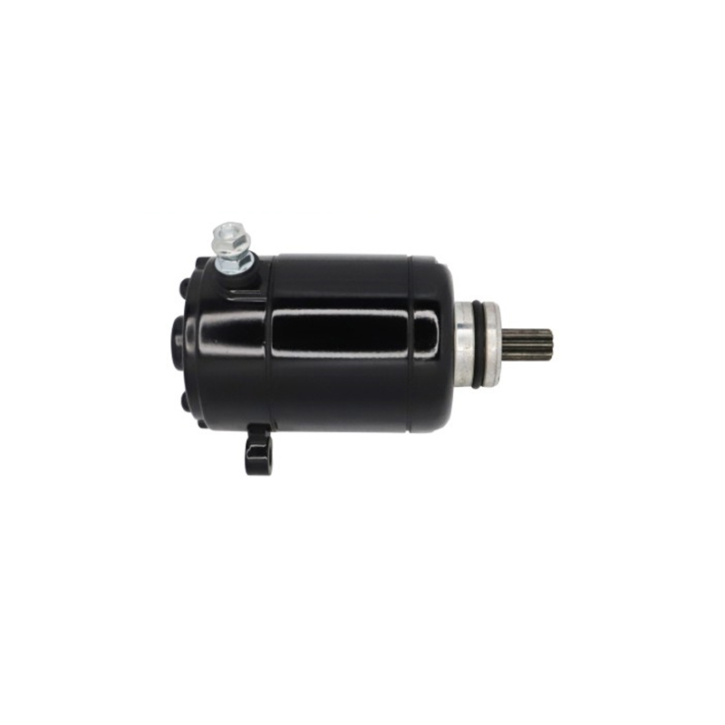 Motorcycle Parts Motorcycle Starter Motor for Pulsar 135