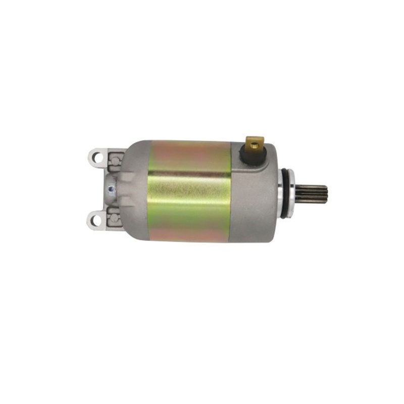 Motorcycle Starter Motor Motorcycle Parts for Bws125