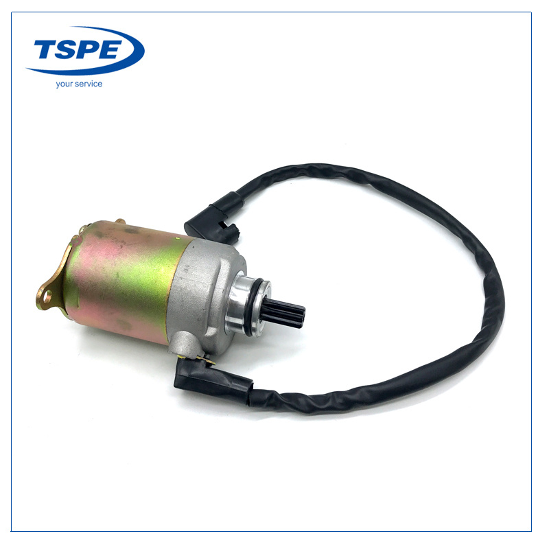 Motorcycle Parts Starter Motor for Ds150/Xs150/GS150/Ws150