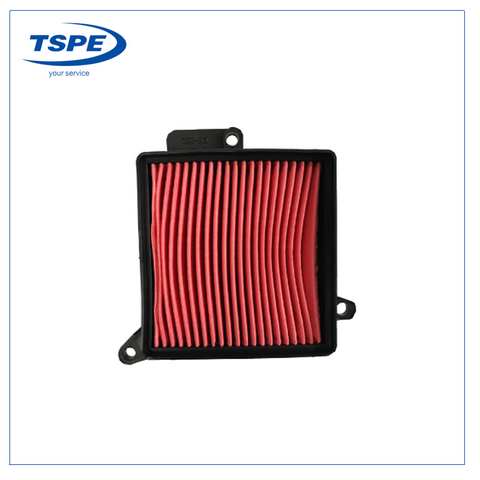 Motorcycle Parts Motorcycle Air Filter Element for Agility 125