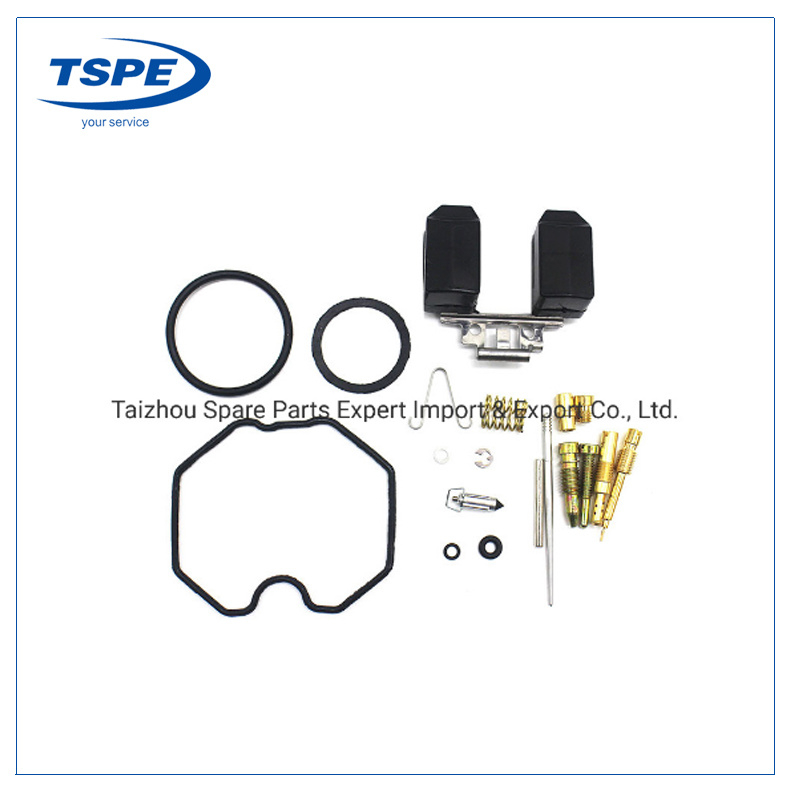 Motorcycle Parts Carburetor Repair Kit for Cg200