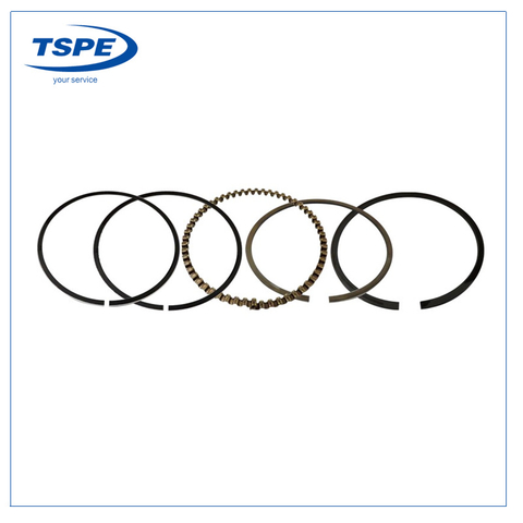 Motorcycle Engine Parts Piston Rings for Cg125/FT125