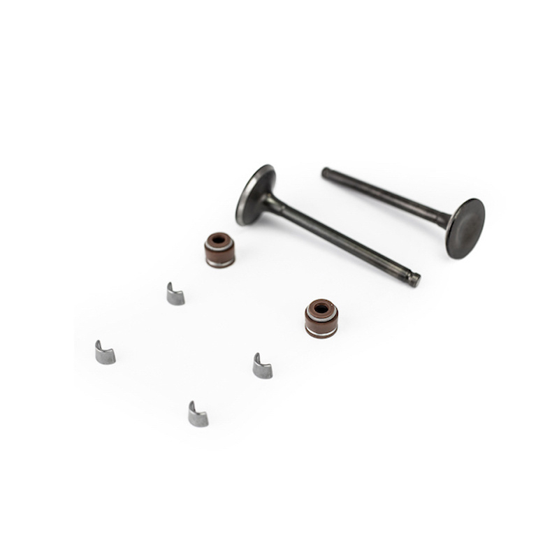 Motorcycle Engine Parts Intake Exhaust Valve Set for Ds150