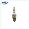 Motorcycle Engine Parts Spark Plug for Fp6tg