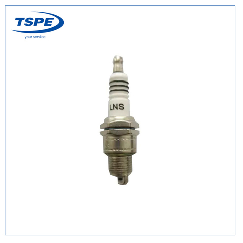 Motorcycle Engine Parts Spark Plug for Fp6tg