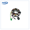 Motorcycle Stator Engine Parts Magneto Coil Ds150/Xs150/GS150/Ws150