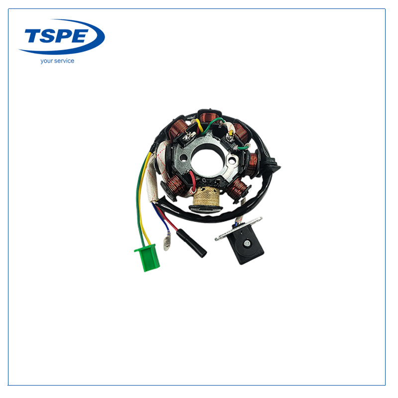 Motorcycle Stator Engine Parts Magneto Coil Ds150/Xs150/GS150/Ws150