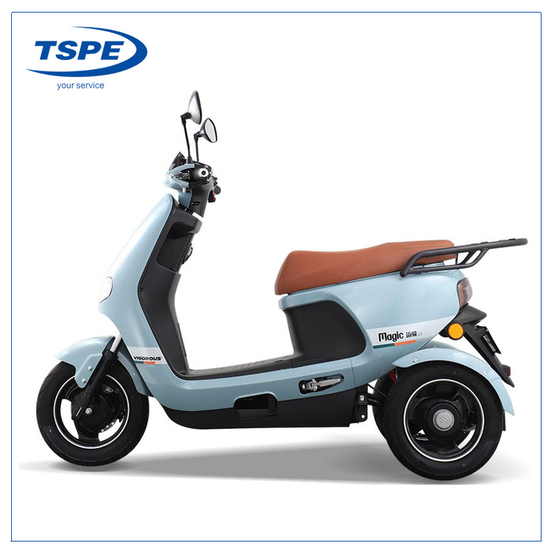 Electric Motorcycle Three Wheel New Model Tricycle