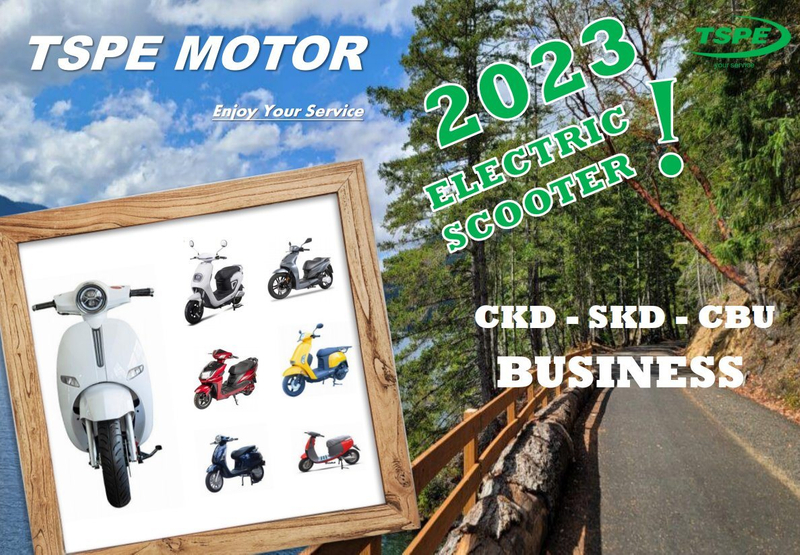 Student Model Electric Scooter Adlut Electirc Motorcycle