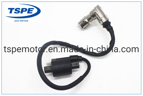 Motorcycle Parts Motorcycle Ignition Coil for Dm-125