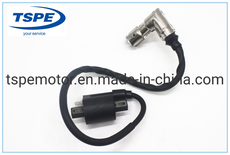 Motorcycle Parts Motorcycle Ignition Coil for Dm-125