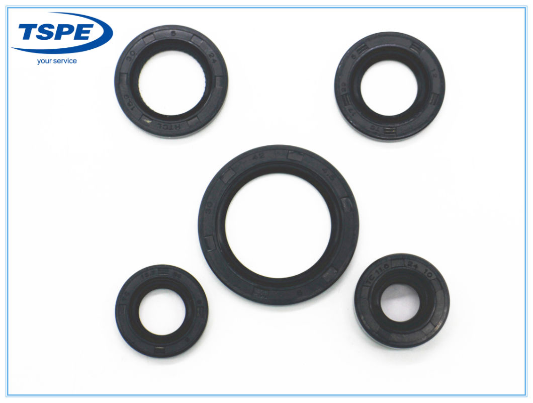Motorcycle Rubber Oil Seal Kit for Italika at-110