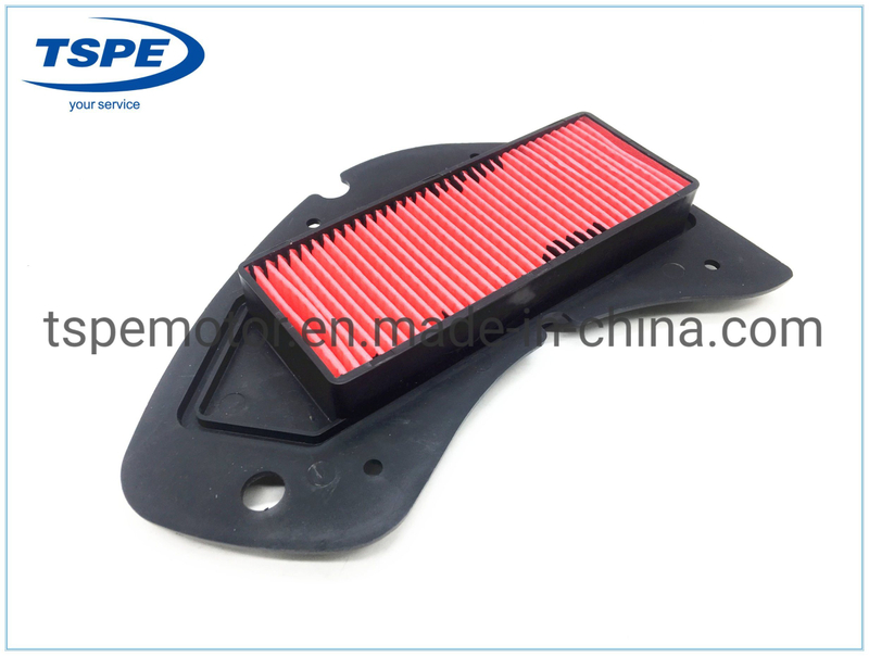 Motorcycle Air Filter Motorcycle Parts for Ws-150 Italika