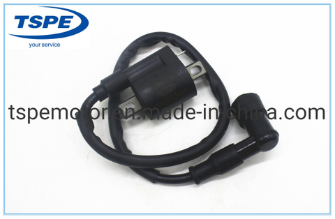 Motorcycle Parts Motorcycle Ignition Coil for Xt-110