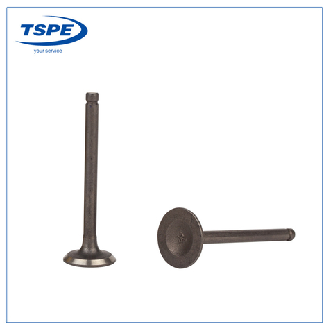 Motorcycle Intake Exhaust Valve for Ar110/At110