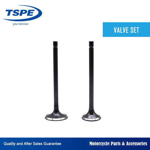 Motorcycle Parts Engine Parts Cg125 Intake Exhaust Valve Set