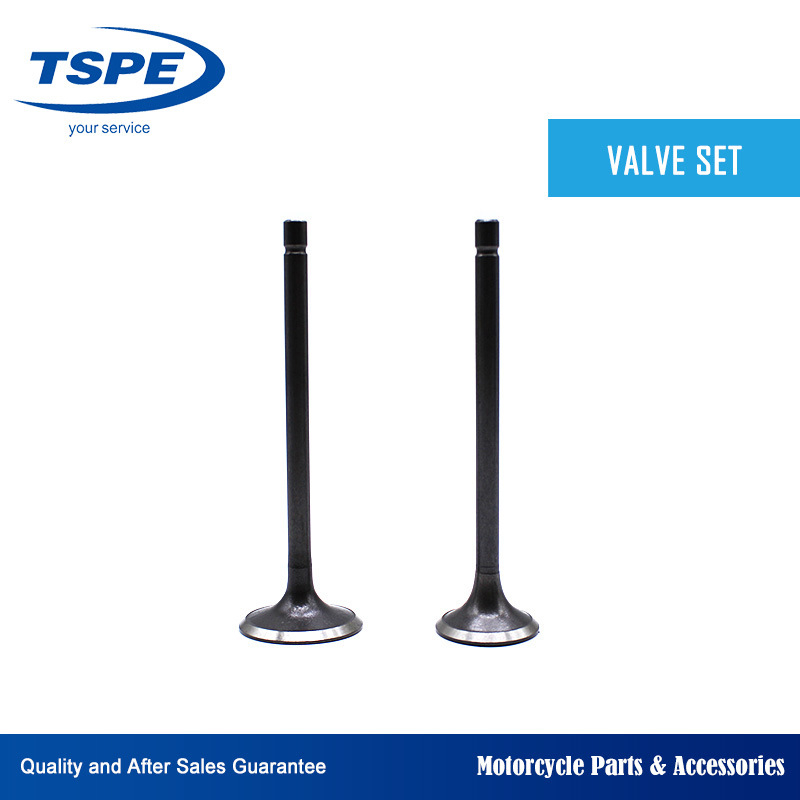 Motorcycle Parts Engine Parts Cg125 Intake Exhaust Valve Set