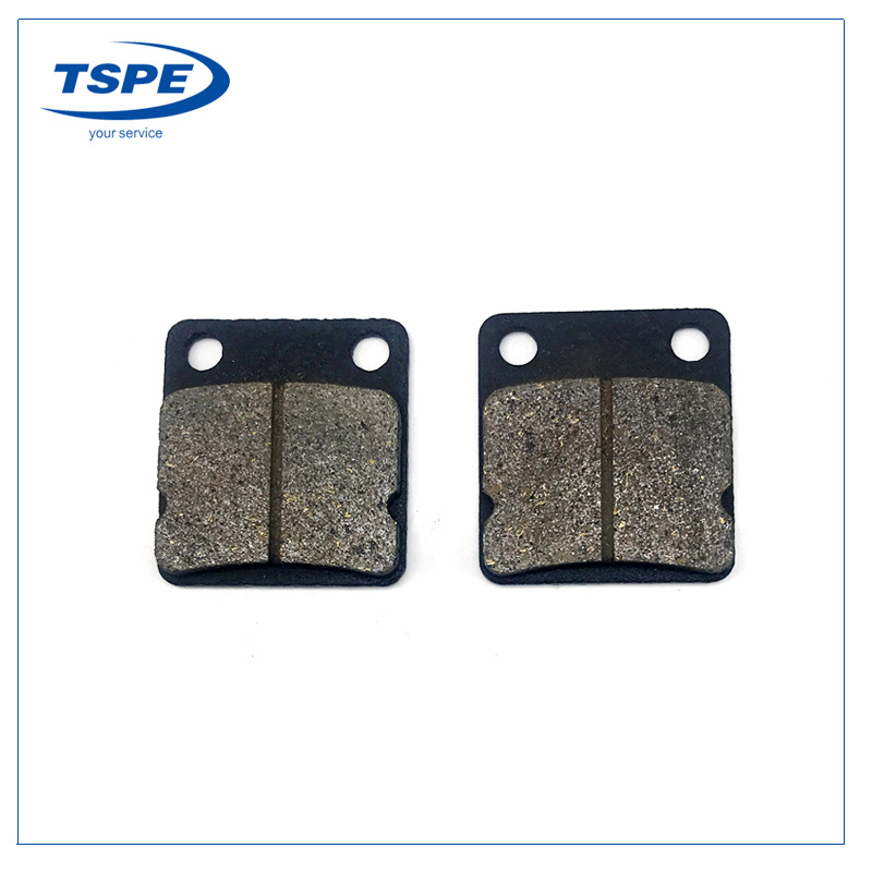 Motorcycle Brake Shoes Brake Pad for Ds150/GS150