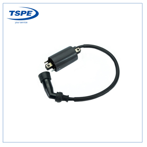 Motorcycle Spare Parts Cdi Ignition Coil for Xv250