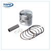 Motorcycle Engine System Piston Kit for Fan 125 09/12 Std