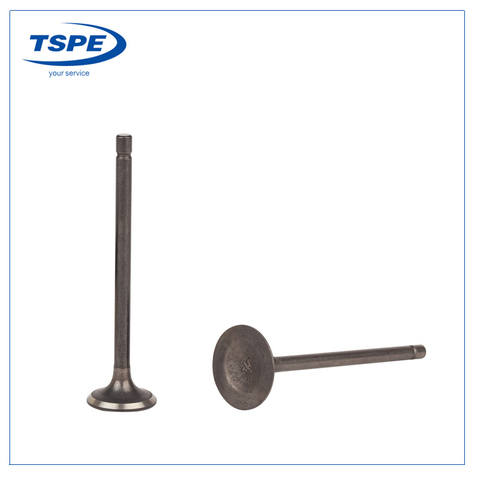 Motorcycle Engine Intake Valve and Exhaust Valve Dt125/FT125