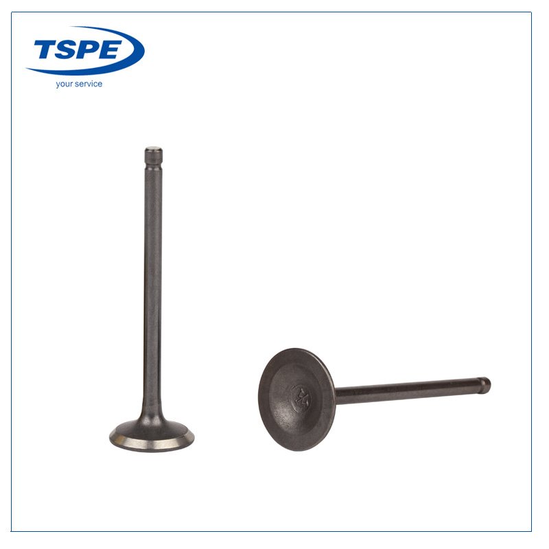 Motorcycle Engine Valve Intake Exhaust Valve for Fz16