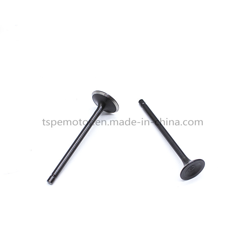 Motorcycle Parts Engine Parts Cg125 Intake Exhaust Valve Set