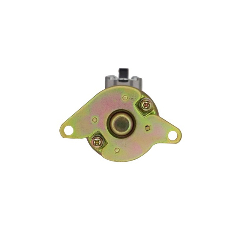 Motorcycle Parts Motorcycle Starter Motor for Agility 125