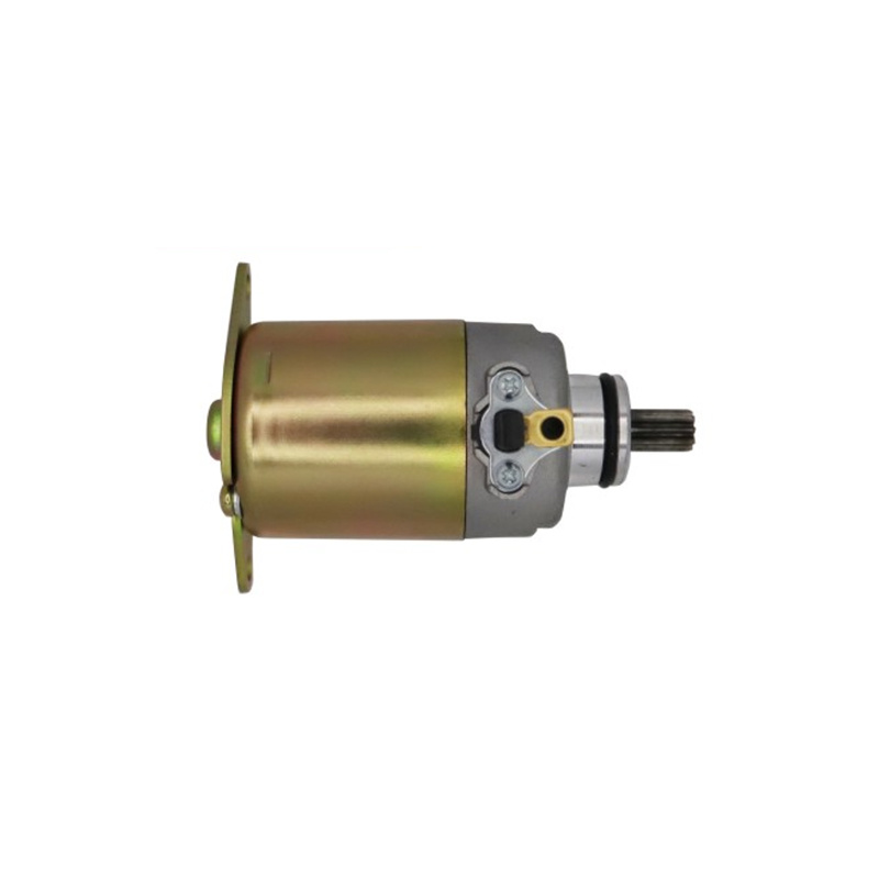 Motorcycle Parts Motorcycle Starter Motor for Agility 125
