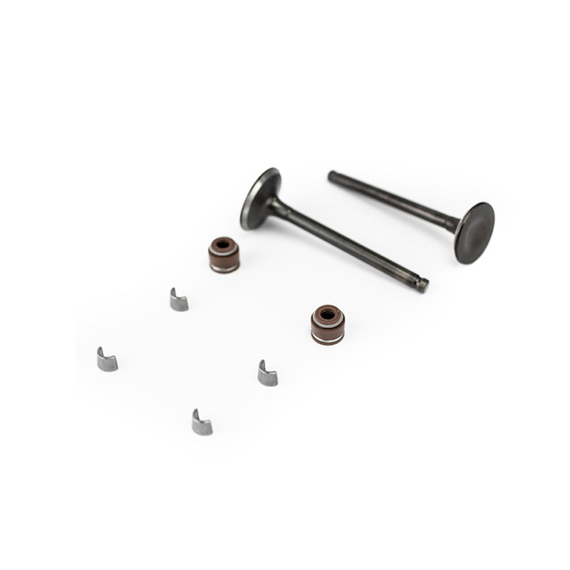 Motorcycle Engine Parts Intake Exhaust Valve Set for Ds150