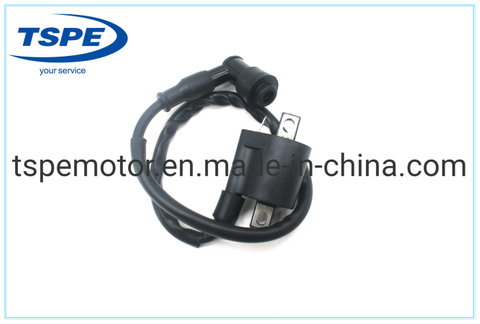 Motorcycle Part Motorcycle Ignition Coil for Dt-150