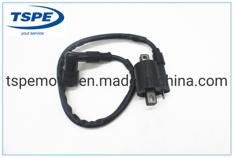 Motorcycle Parts Motorcycle Ignition Coil for Ar-110