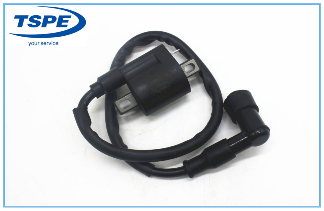 Motorcycle Parts Motorcycle Ignition Coil for Xt-110