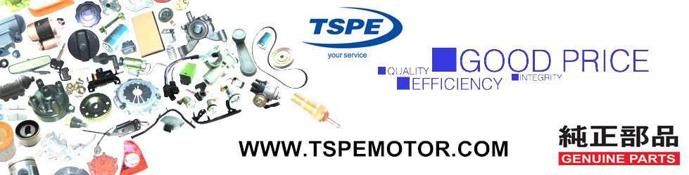 Motorcycle Engine Intake Valve and Exhaust Valve Dt125/FT125
