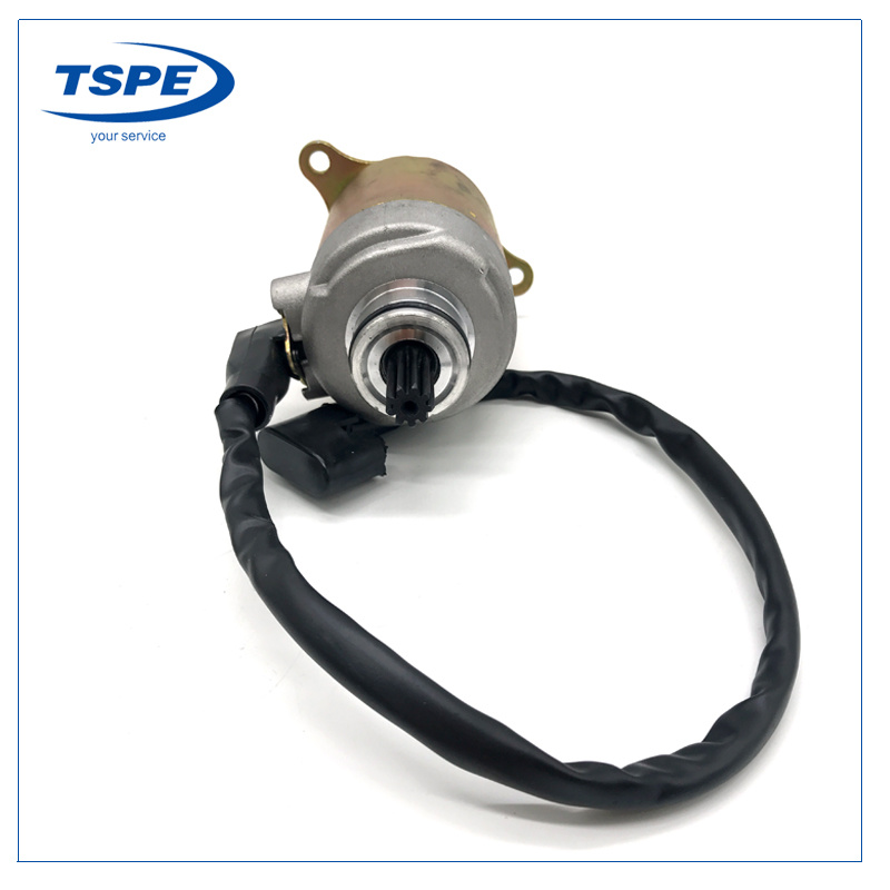 Motorcycle Parts Starter Motor for Ds150/Xs150/GS150/Ws150
