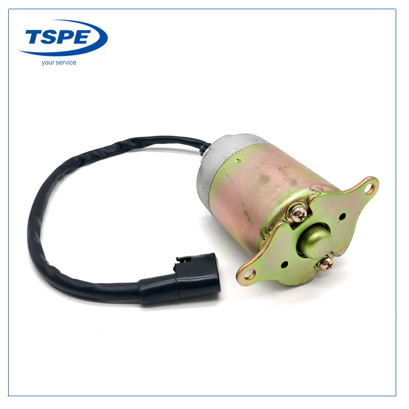 Motorcycle Parts Starter Motor for Ds150/Xs150/GS150/Ws150