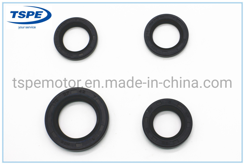 Rubber Oil Seal Kit Motorcycle Parts for Italika CS-125