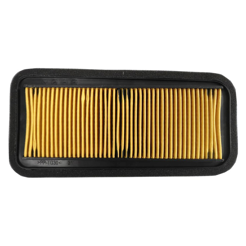 Motorcycle Parts Motorcycle Air Filter Element for YAMAHA Byson Fi