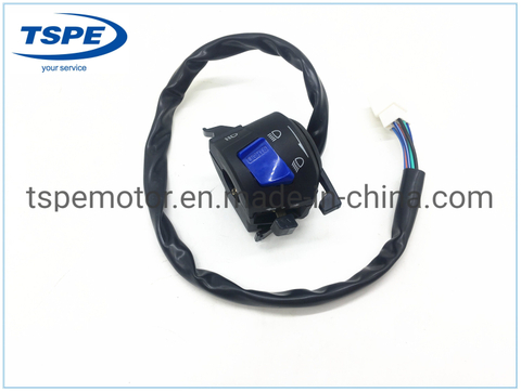 Motorcycle Parts Motorcycle Handle Switch for FT-150 Italika